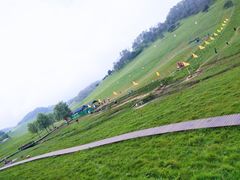 -关山草原