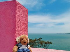 -漳州滨海火山岛自然生态风景区