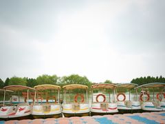 -合肥滨湖国家森林公园