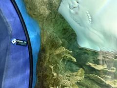 -福州罗源湾海洋世界旅游区