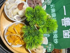 -一善菌·云南菌汤·云南菜(银泰城店)