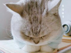 -美联众合动物医院(·中兽医·疑难杂症·严家桥分院)