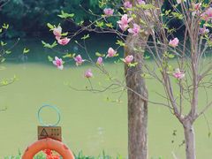 -海珠湖公园