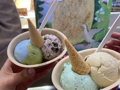 -极拉图·现制冰淇淋(大卫城店)