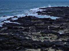 -厦门湾·白塘湾火山公园