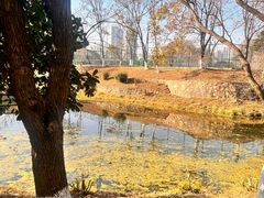 -月湖风景区
