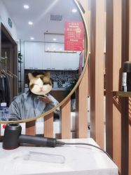 -尚·丹尼Hair