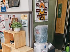 -伟伟宠物医院·瑞派猫友好医院·猫科(光谷店)