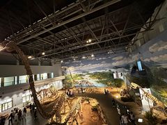 -自贡恐龙博物馆