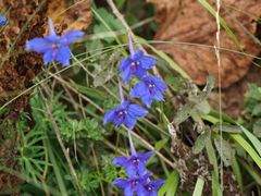 -白草畔自然风景区