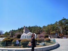 -帽儿山国家森林公园