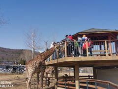 -大连森林动物园