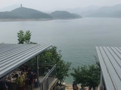 -望湖烤鱼