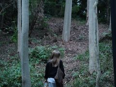 -燕晗山郊野公园