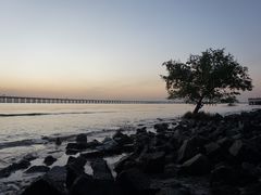 -宝安西湾红树林湿地公园