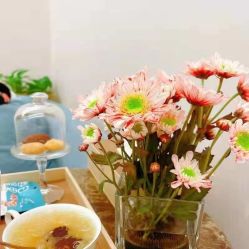 -奥本科技美肤·养生SPA