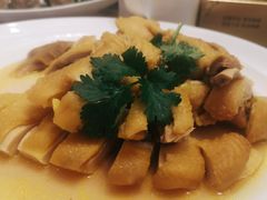 -轩记海鲜餐厅·四十五年老字号·经典粤菜(西区彩虹店)