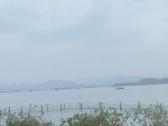 -湖畔居茶楼(湖滨店)