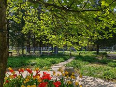 -国家植物园南园