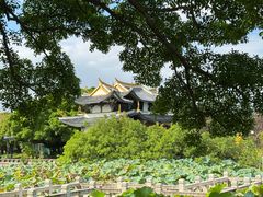 -江心屿景区