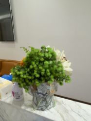 -紫馨整形外科医院