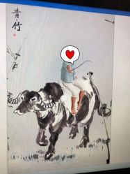 -布恩儿童摄影