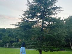 -杭州城北体育公园