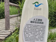 -成都市活水公园