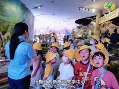 -杨梅红艺术教育(西安高新唐延教学中心)