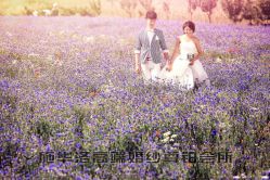 -施华洛婚纱摄影会所(范阳中路店)