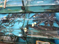 -西门岛码头海鲜馆