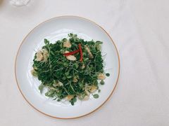 香椿芽核桃仁-潮皇食府(北京店)