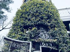 -三鹰之森吉卜力美术馆