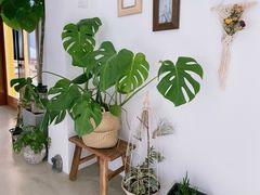-AHAVA·Fang Baking Studio