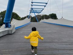 -上海浦东嘉里大酒店