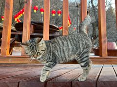 -终南山南五台景区