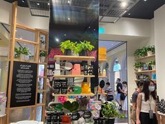 -LUSH(威尼斯人店)