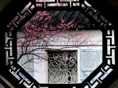 -八大山人梅湖景区