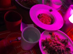 -胡桃里乐队酒馆(广州塔店)