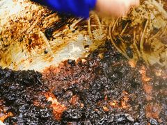 甑糕-马文章胖子甑糕(洒金桥店)