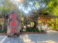 -野象谷景区
