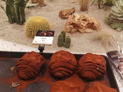 脏脏包-OUR Bakery(SKP-S店)