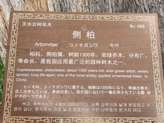 -玉泉观