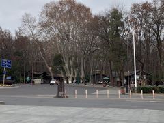 -灵谷景区