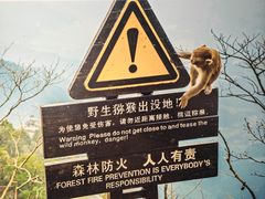 -四川美术馆