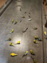 -酷嗒动物文化乐园(cutezoo西溪乐天城店)