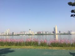 -武昌江滩