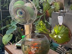 -大水的店(昙华林店)
