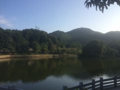 -广州市帽峰山景区