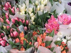 -循礼门鲜花花市(武汉循礼门店)